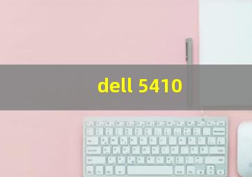 dell 5410